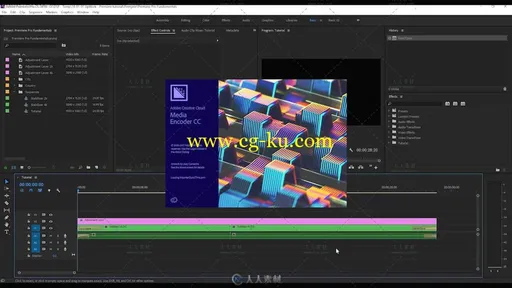 Premiere Pro CC 快速入门基础训练视频教程的图片2