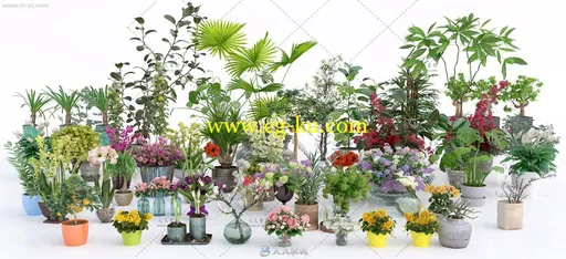 56组高精度花卉盆栽室内植物装饰3D模型合集的图片23