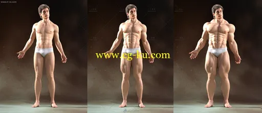 男性人体肌肉超精细解剖3D模型的图片3