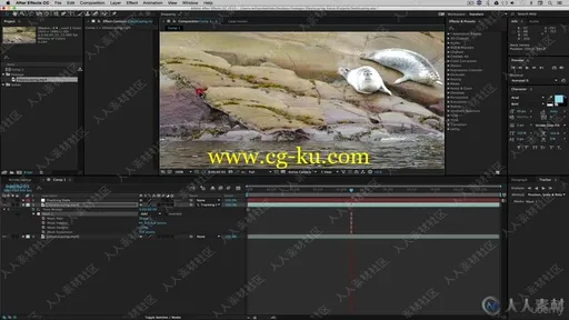 AE CC跟踪与合成技术基础训练视频教程的图片3