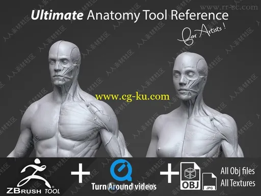 Zbrush超精细男女性肌肉群雕刻解剖3D模型的图片1