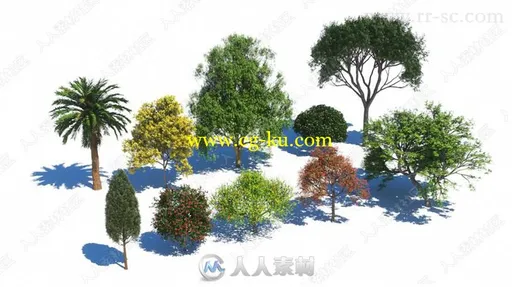 360种精细树木植物3D模型合集的图片2
