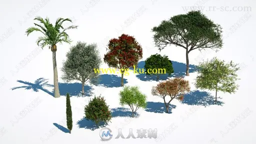 360种精细树木植物3D模型合集的图片3