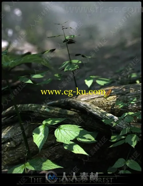 魔法森林植物场景3D模型合辑的图片4