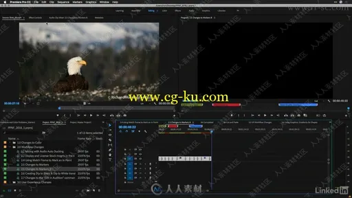 Premiere Pro CC 2018.1新功能探索训练视频教程的图片5