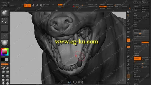 Zbrush动物解剖雕刻完整训练大师班视频教程的图片12