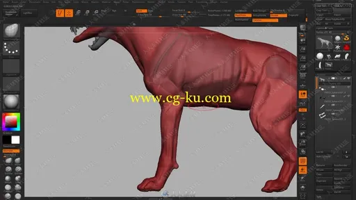 Zbrush动物解剖雕刻完整训练大师班视频教程的图片16