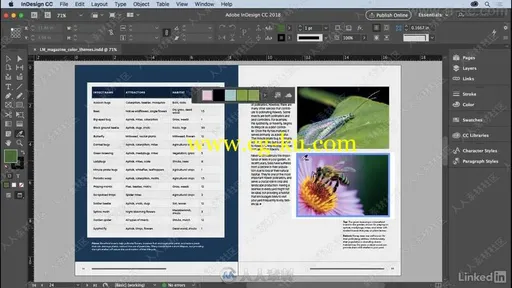 Adobe创意云套件管理与使用技巧视频教程的图片1