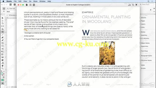 InDesign CC制作EPUB开源电子书格式工作流程视频教程的图片3