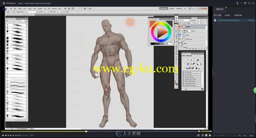 PS使用数字绘画训练[男性身体躯干]视频教程的图片3