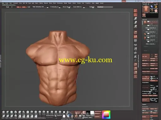 ZBrush人体雕刻与肌肉结构分析视频教程的图片3