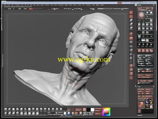 ZBrush人体雕刻与肌肉结构分析视频教程的图片4
