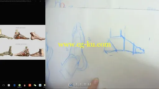 Cg人体结构造型班绘画中文视频教程的图片2