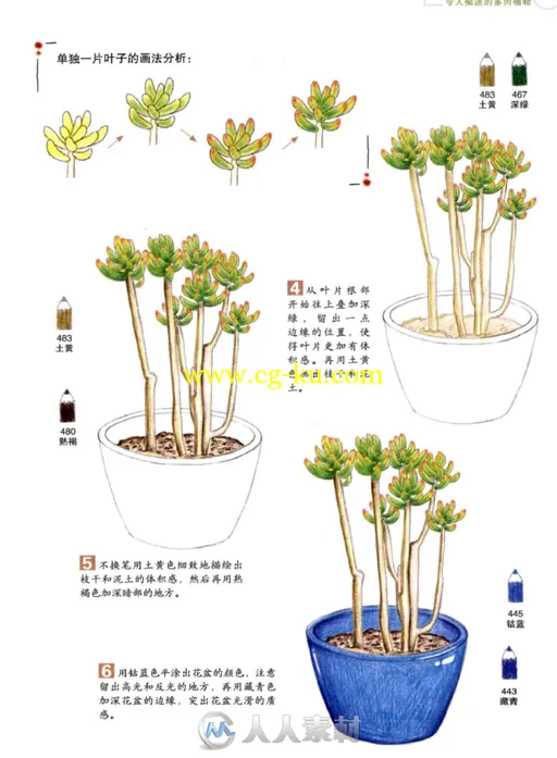 彩绘色铅笔之旅花草植物书籍杂志的图片1