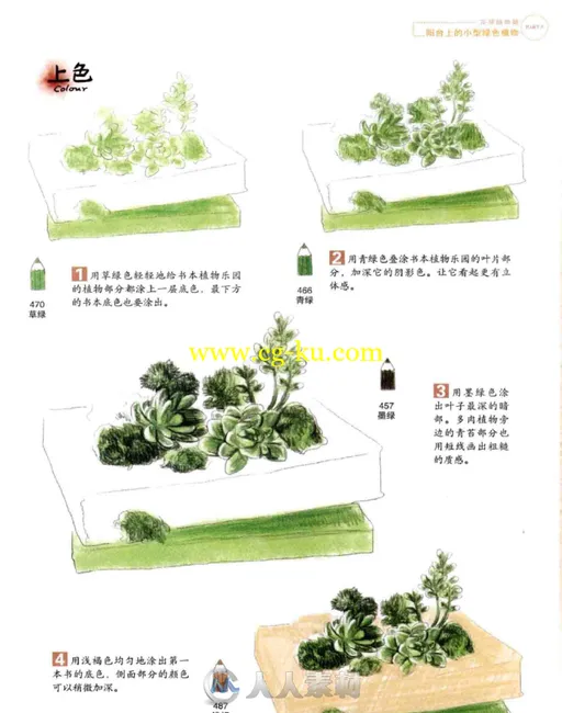 彩绘色铅笔之旅花草植物书籍杂志的图片2