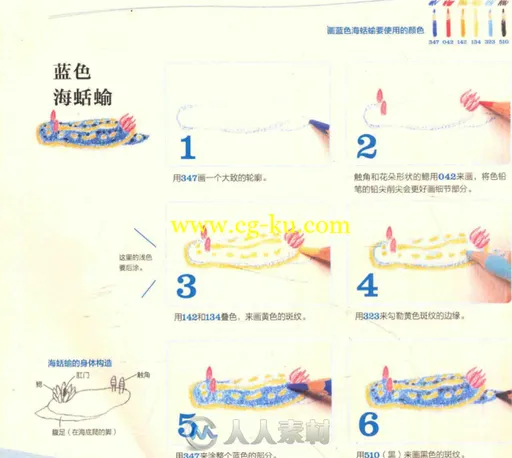 秋草爱的色铅笔海洋绘书籍杂志的图片4