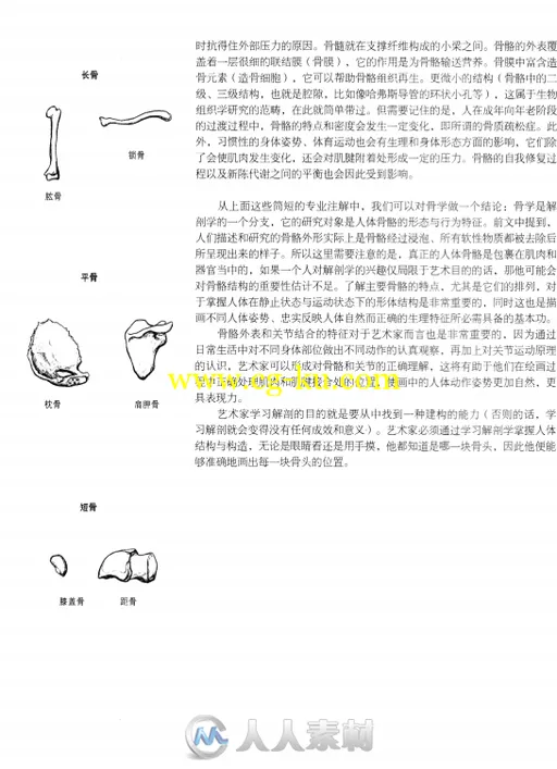 人体解刨与素描书籍杂志的图片1