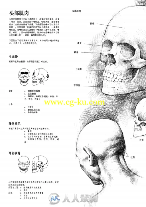 人体解刨与素描书籍杂志的图片4