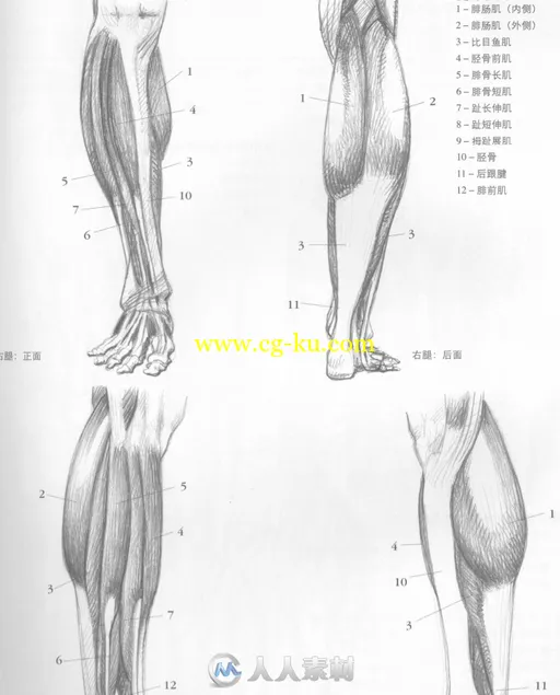 手与足素描书籍杂志的图片4