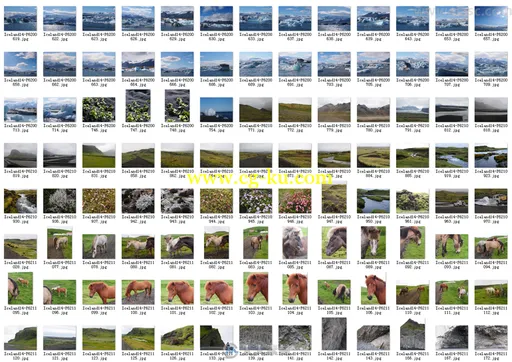 1000张4K高清冰岛自然风光与城市人文生活照片素材合集的图片5