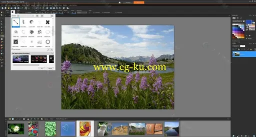 PaintShop 2019专业相片编辑软件V21.0.0.119版的图片1