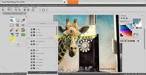 PaintShop 2019专业相片编辑软件V21.0.0.119版的图片2