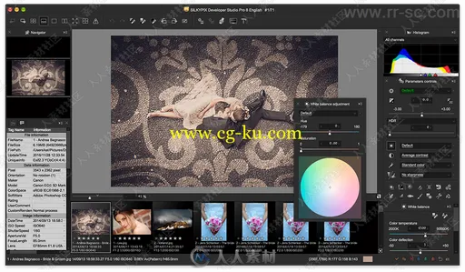 SILKYPIX Developer Studio Pro数码照片处理软件V8.0.23.0版的图片1