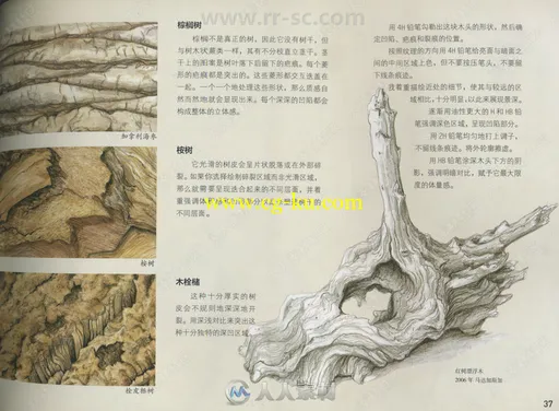 植物水彩极致表现书籍杂志的图片2