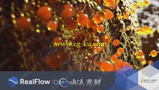 RealFlow流体动力学模拟C4D R20插件V2.6.4.0092版的图片1