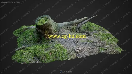 枯藤旧木老石植被环境3D模型UE4游戏素材资源合集 Evermotion UE4的图片1