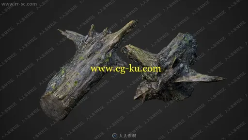 枯藤旧木老石植被环境3D模型UE4游戏素材资源合集 Evermotion UE4的图片2