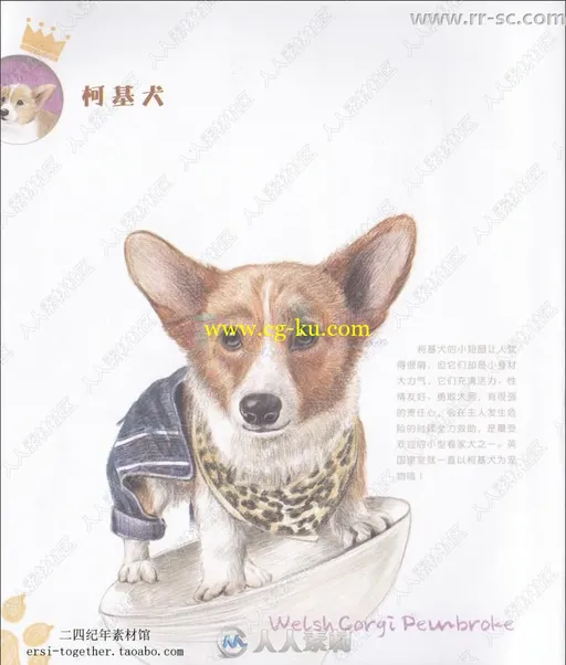 33只萌犬彩色铅笔涂绘书籍杂志的图片1