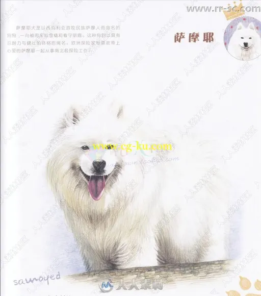 33只萌犬彩色铅笔涂绘书籍杂志的图片2