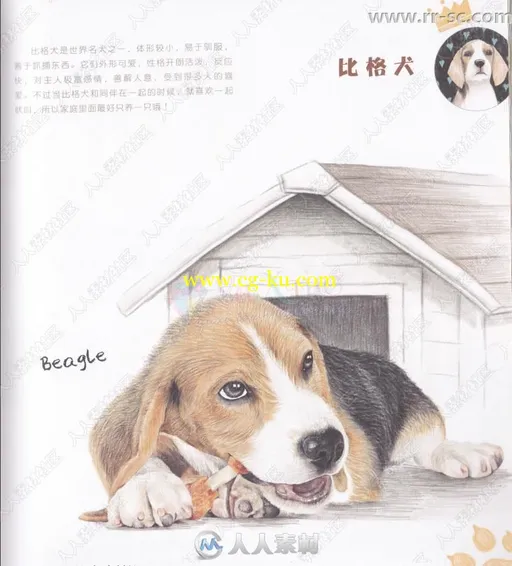 33只萌犬彩色铅笔涂绘书籍杂志的图片3
