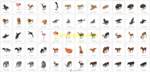 70组各种动物相关PSD模板平面素材合集的图片2