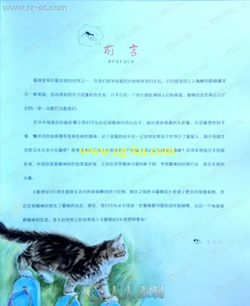 来自飞乐鸟邂逅32只天使萌猫猫咪绘书籍杂志的图片7