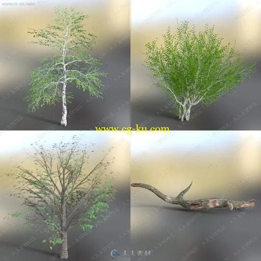 多样美丽野生绿色植物花草3D模型的图片10