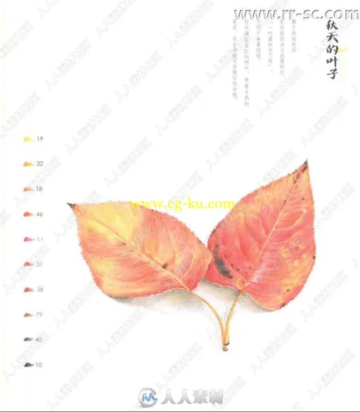 72色彩铅笔秋之绘书籍杂志的图片4