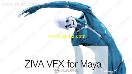 Ziva Dynamics Ziva VFX骨骼肌肉运动模拟Maya插件V1.4版的图片3