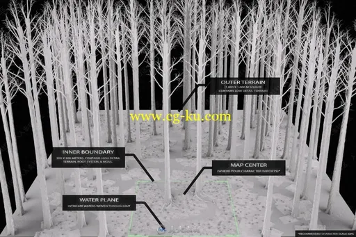 雾霾笼罩神秘阴暗古代森林3D模型合集的图片3