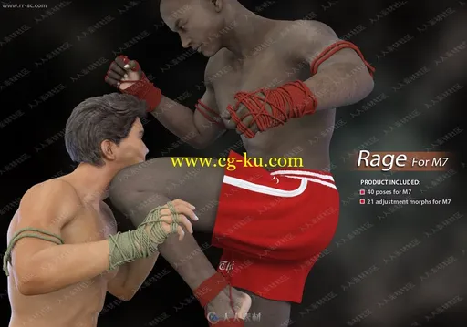 40组男士拳击对打重击脸部肌肉变形3D模型的图片1