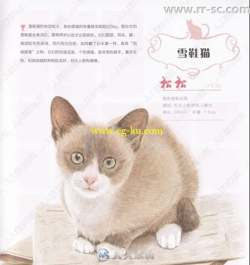 33只萌猫彩色铅笔图绘书籍杂志的图片2