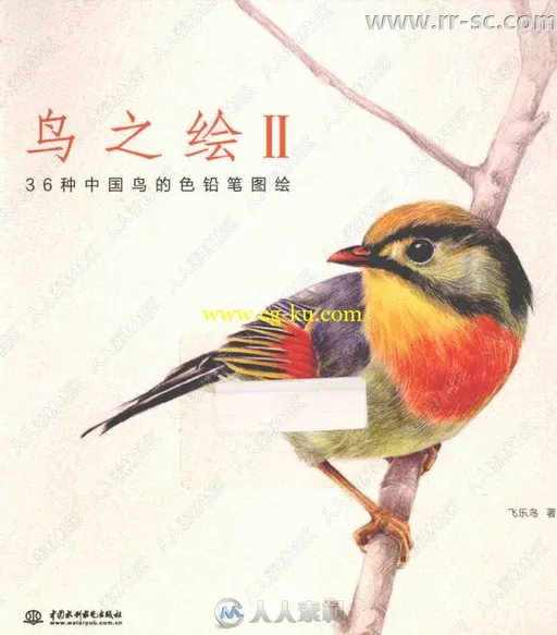 36种中国鸟彩色铅笔图绘书籍杂志的图片1