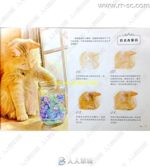 色铅笔猫咪绘明信片手绘书籍杂志的图片2