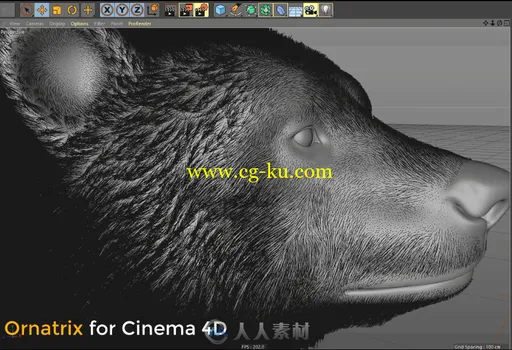 Ornatrix for Cinema 4D BETA测试版已经开始申请 Cinema 4D中也能制作毛发啦的图片1