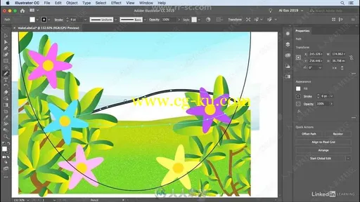 Illustrator CC 2019基础核心技术训练视频教程的图片3