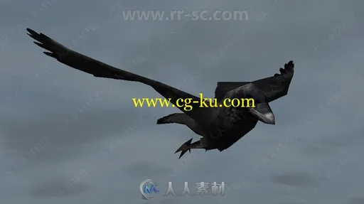 灵活成群黑色空中乌鸦动物角色3D模型Unity游戏素材资源的图片1