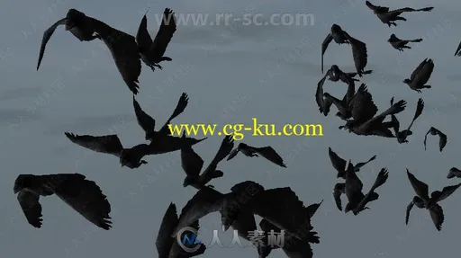 灵活成群黑色空中乌鸦动物角色3D模型Unity游戏素材资源的图片2