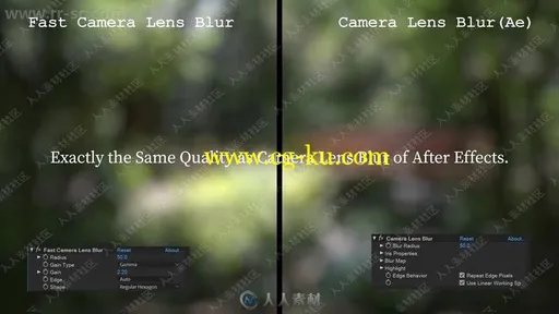 Fast Camera Lens Blur镜头模糊AE与PR插件V3.11.0版的图片2
