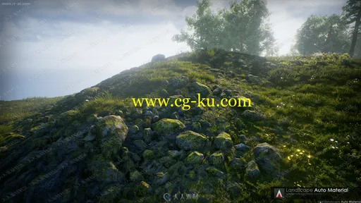 森林户外逼真草地绘制地形拓扑环境UE4游戏素材资源的图片2